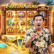 All win plataforma